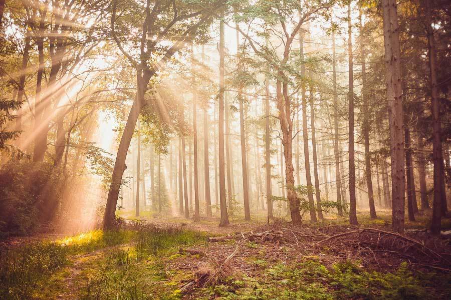 足球俱乐部建设社区体育中心