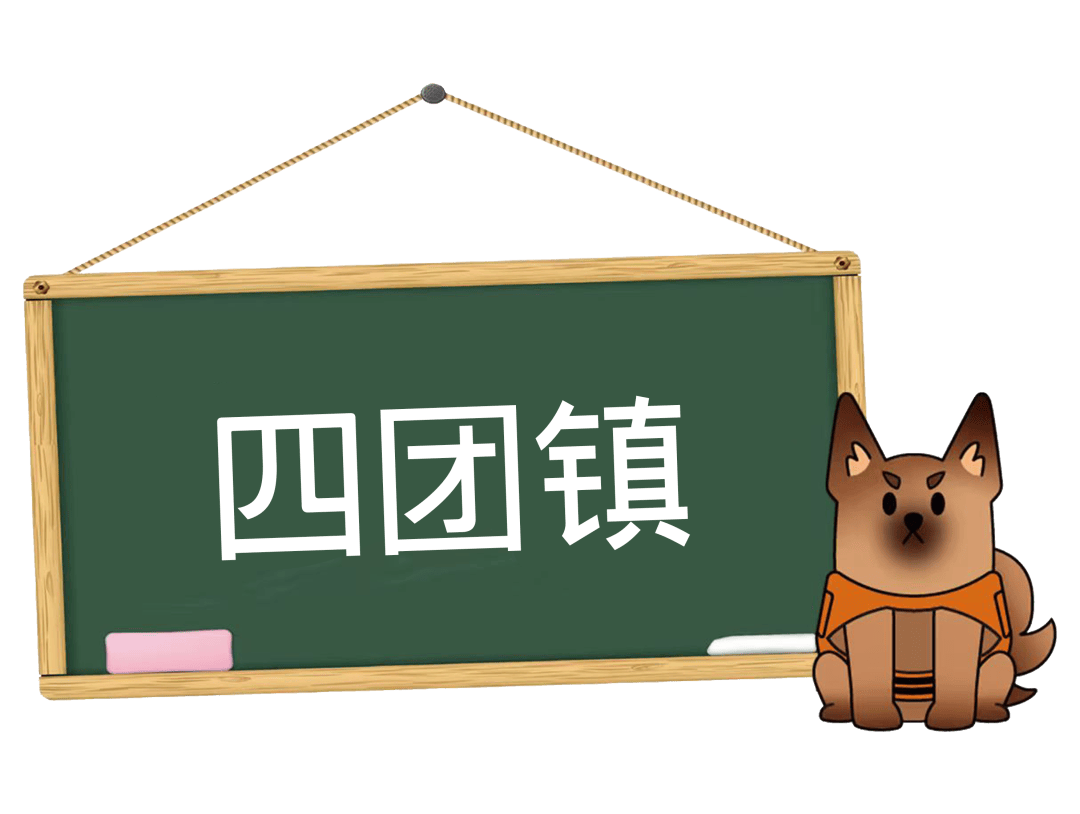 买球-上门入户在行动｜奉贤区持续开展上门关怀